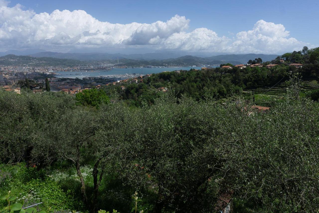 Апартаменти Gli Ulivi Sul Golfo E Le 5 Terre Ла-Спеція Екстер'єр фото