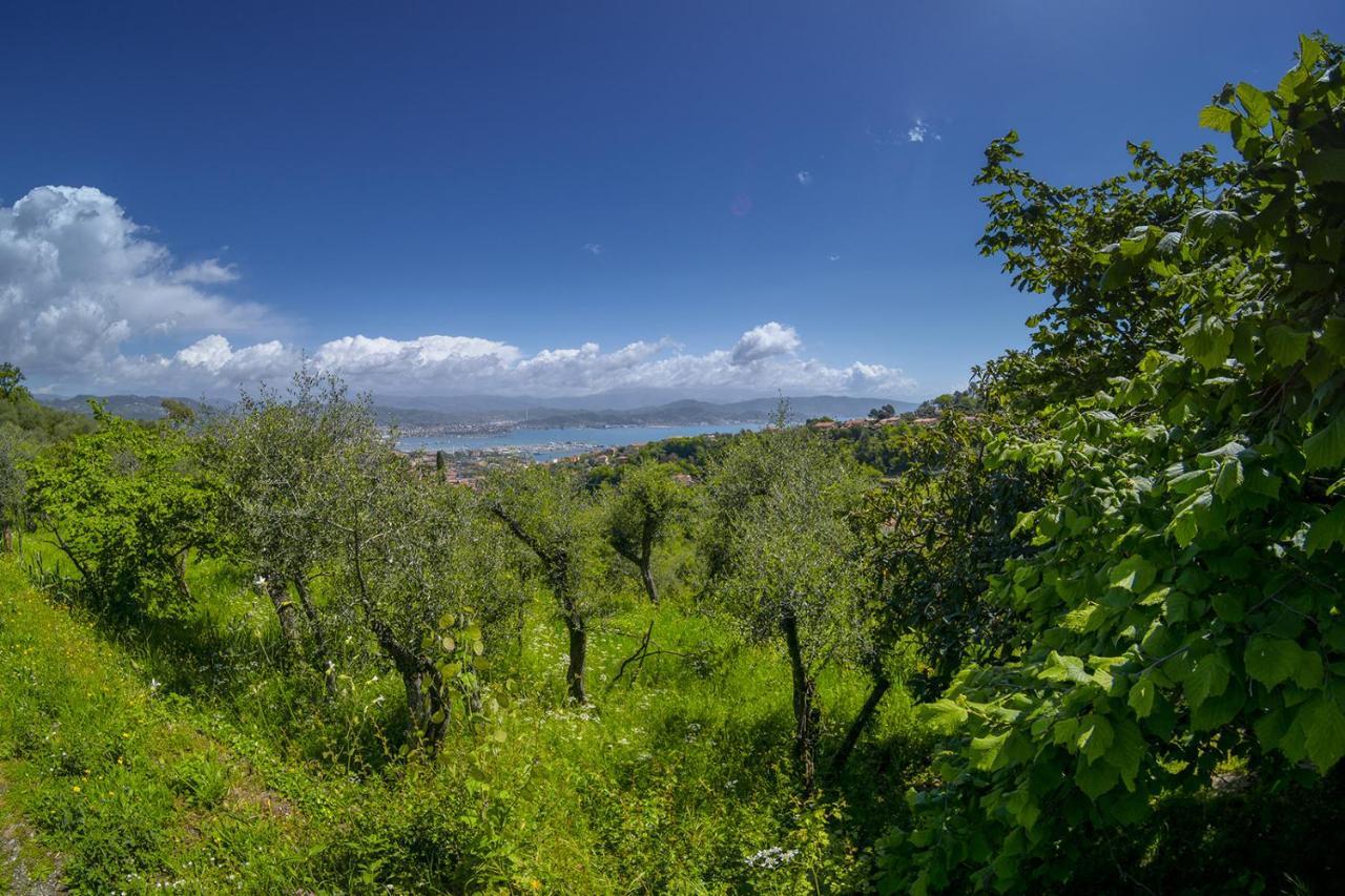 Апартаменти Gli Ulivi Sul Golfo E Le 5 Terre Ла-Спеція Екстер'єр фото