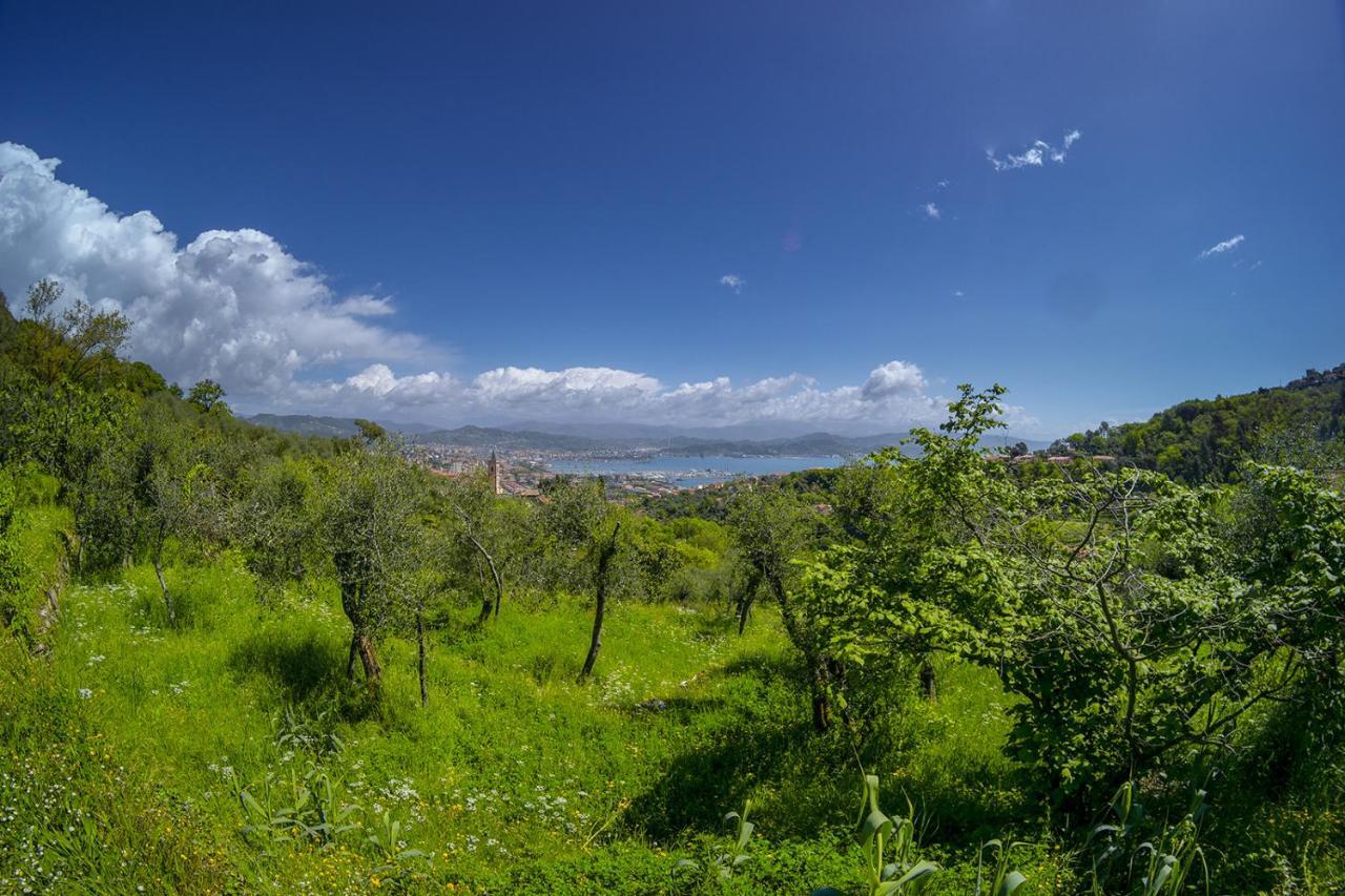 Апартаменти Gli Ulivi Sul Golfo E Le 5 Terre Ла-Спеція Екстер'єр фото